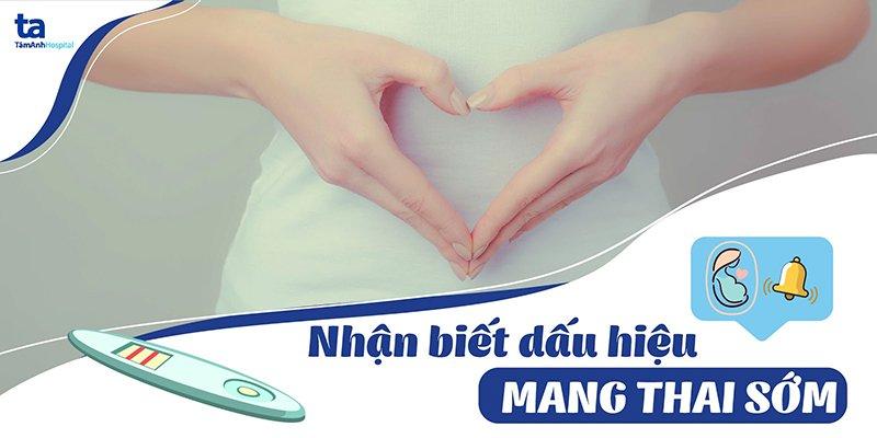 Hinh anh mot chu cho voi bung dang lon dan va num vu sung hong, the hien dau hieu mang thai som